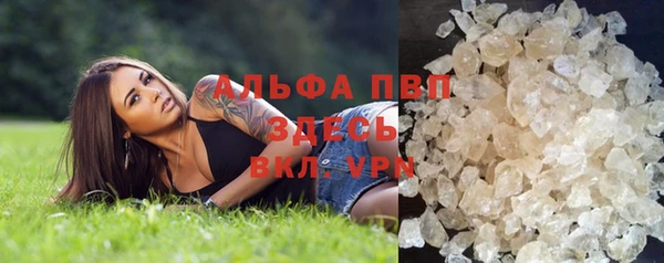 СК Волосово